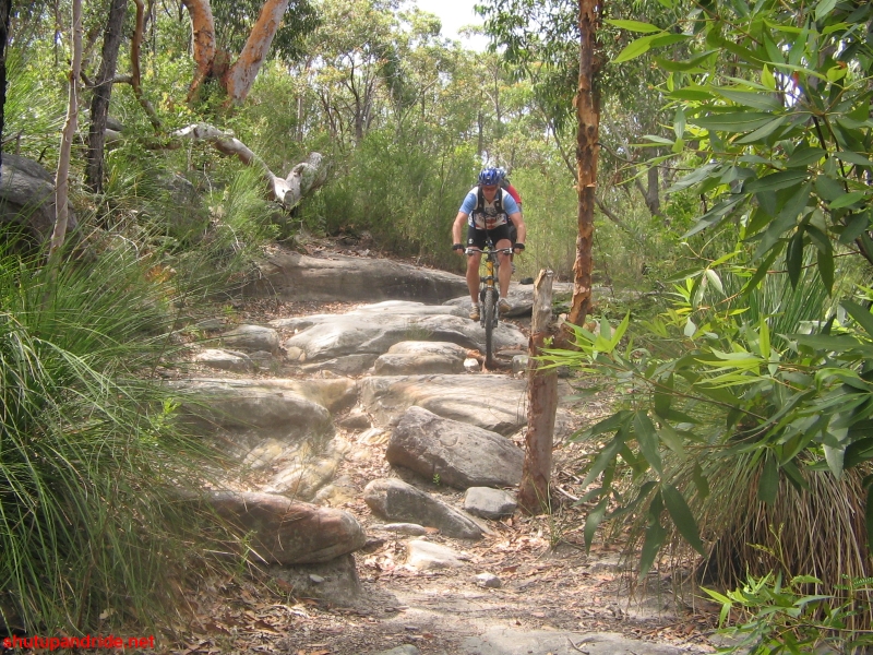 20061210-Lindfield 044 